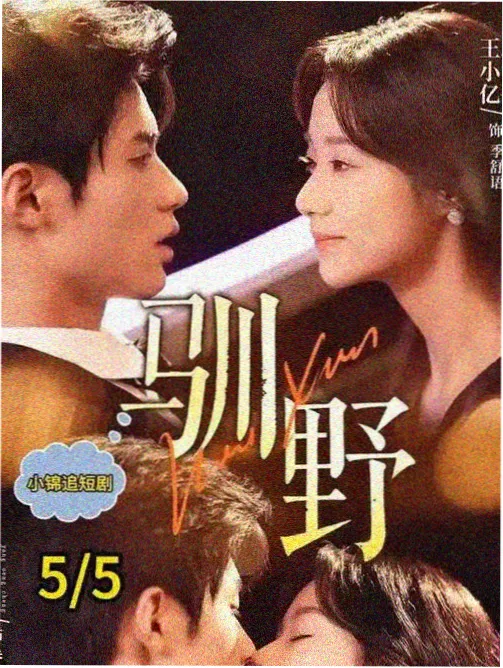 凌晨四点的电台 都市情感剧集封面